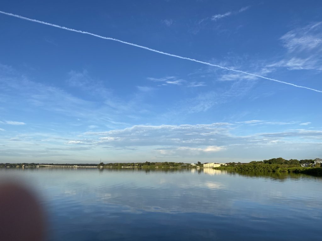 Bay