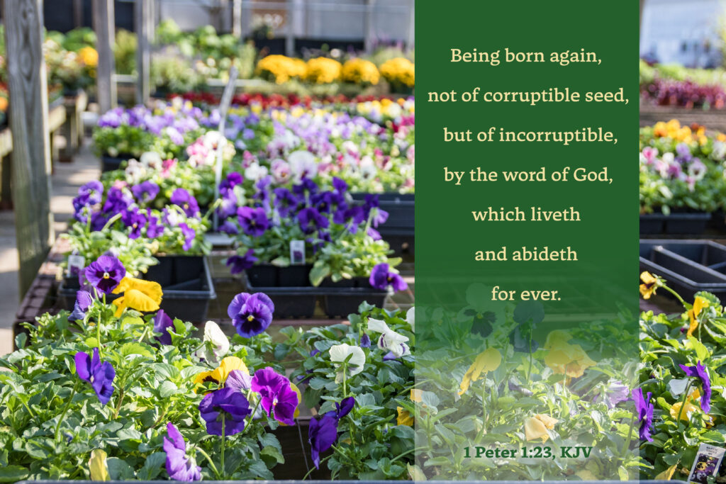 2023-devotions-community-um-church